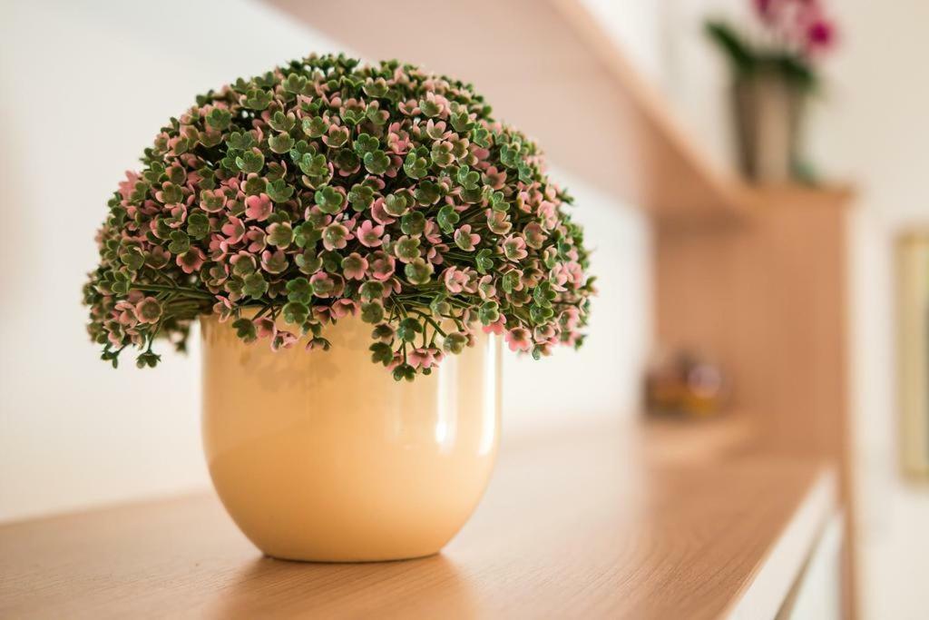 Snjezana Appartement Mali Lošinj Buitenkant foto